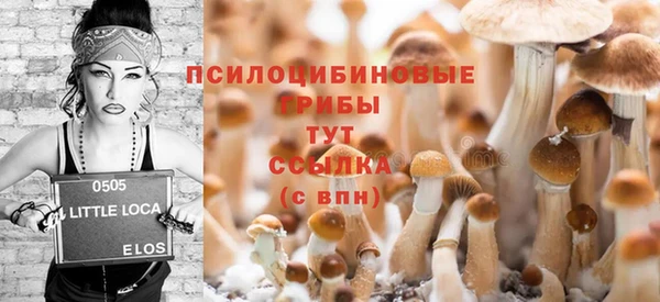 эйфоретик Абаза