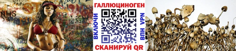 Псилоцибиновые грибы GOLDEN TEACHER  что такое   Грозный 